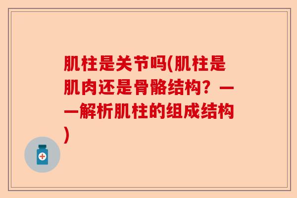肌柱是关节吗(肌柱是肌肉还是骨骼结构？——解析肌柱的组成结构)