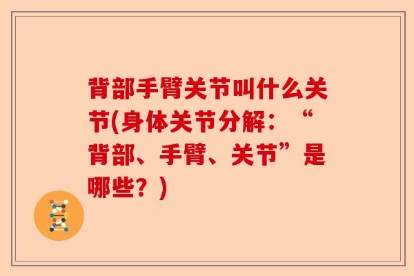 背部手臂关节叫什么关节(身体关节分解:“背部、手臂、关节”是哪些?) 背部手臂关节叫什么关节(身体关节分解:“背部、手臂、关节”是哪些?)