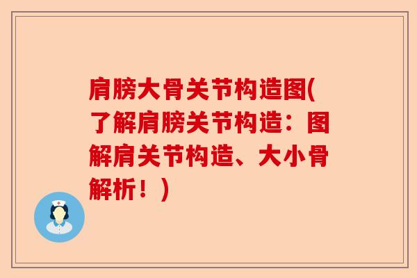 肩膀大骨关节构造图(了解肩膀关节构造：图解肩关节构造、大小骨解析！)