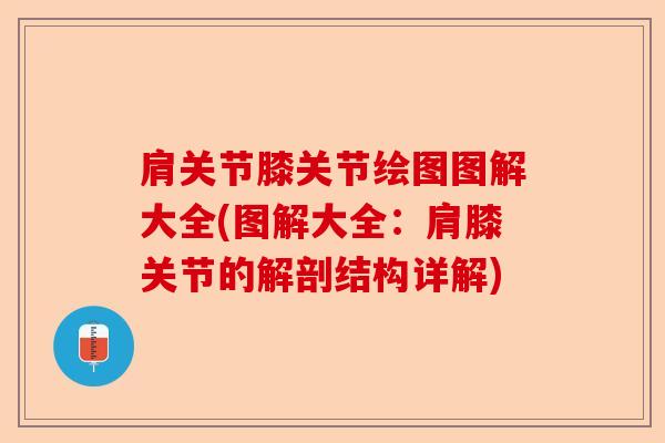 肩关节膝关节绘图图解大全(图解大全：肩膝关节的解剖结构详解)