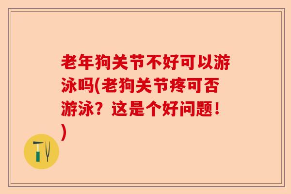 老年狗关节不好可以游泳吗(老狗关节疼可否游泳?这是个好问题!) 老年狗关节不好可以游泳吗(老狗关节疼可否游泳?这是个好问题!)