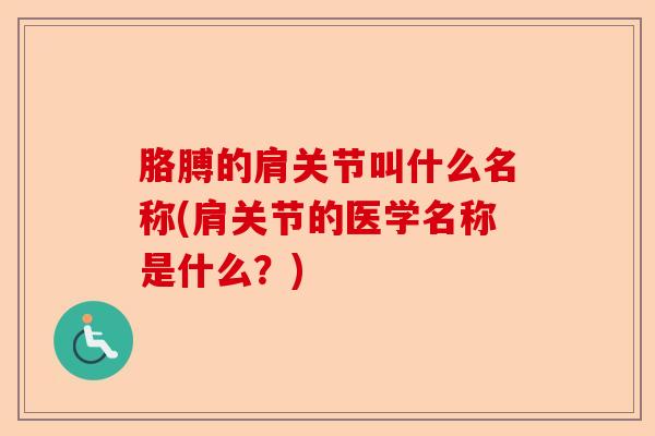 胳膊的肩关节叫什么名称(肩关节的医学名称是什么?) 胳膊的肩关节叫什么名称(肩关节的医学名称是什么?)
