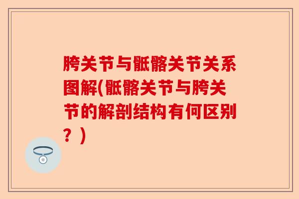 胯关节与骶髂关节关系图解(骶髂关节与胯关节的解剖结构有何区别？)