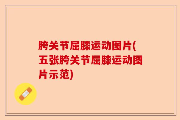 胯关节屈膝运动图片(五张胯关节屈膝运动图片示范)