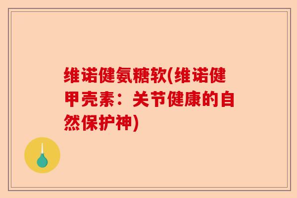 维诺健氨糖软(维诺健甲壳素：关节健康的自然保护神)