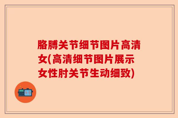 胳膊关节细节图片高清女(高清细节图片展示女性肘关节生动细致)