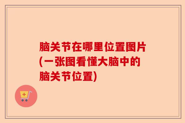 脑关节在哪里位置图片(一张图看懂大脑中的脑关节位置)