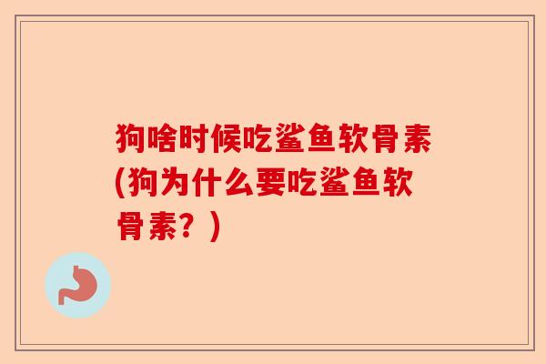 狗啥时候吃鲨鱼软骨素(狗为什么要吃鲨鱼软骨素？)