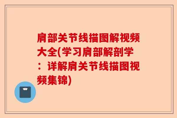 肩部关节线描图解视频大全(学习肩部解剖学：详解肩关节线描图视频集锦)