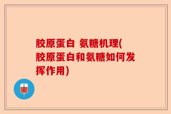 胶原蛋白 氨糖机理(胶原蛋白和氨糖如何发挥作用)