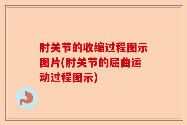 肘关节的收缩过程图示图片(肘关节的屈曲运动过程图示)