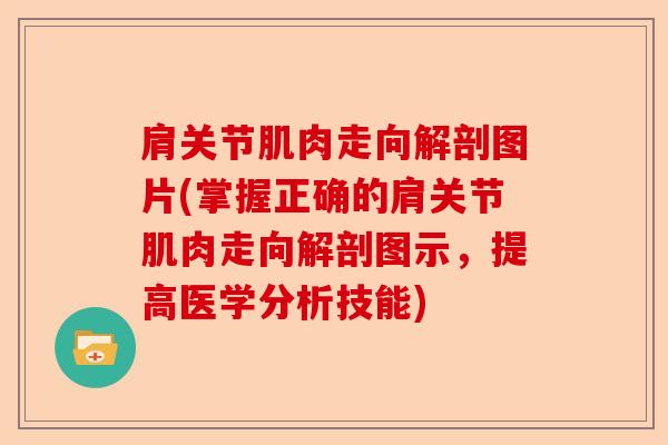 肩关节肌肉走向解剖图片(掌握正确的肩关节肌肉走向解剖图示，提高医学分析技能)