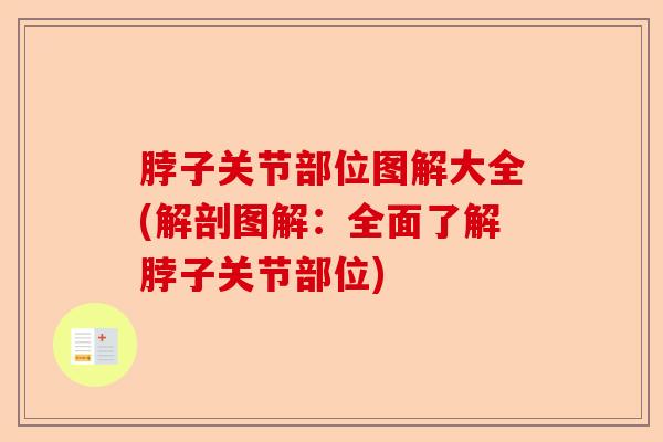 脖子关节部位图解大全(解剖图解：全面了解脖子关节部位)