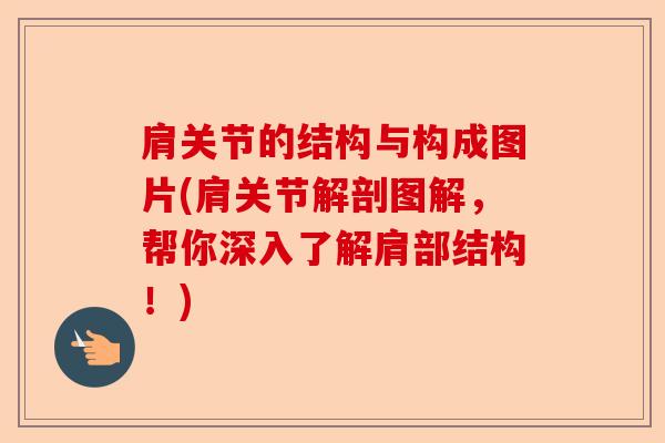 肩关节的结构与构成图片(肩关节解剖图解，帮你深入了解肩部结构！)