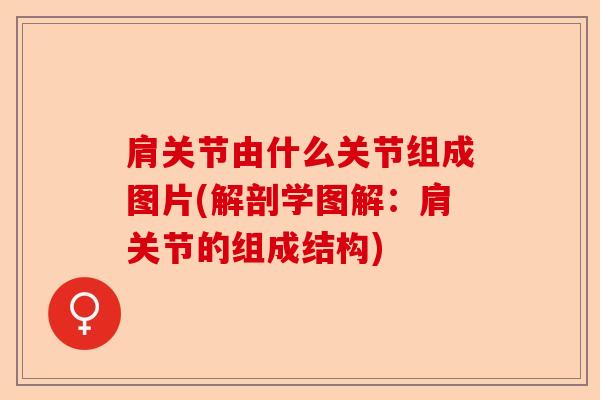 肩关节由什么关节组成图片(解剖学图解：肩关节的组成结构)