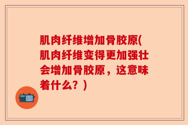 肌肉纤维增加骨胶原(肌肉纤维变得更加强壮会增加骨胶原，这意味着什么？)