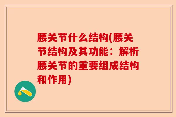 腰关节什么结构(腰关节结构及其功能:解析腰关节的重要组成结构和作用) 腰关节什么结构(腰关节结构及其功能:解析腰关节的重要组成结构和作用)