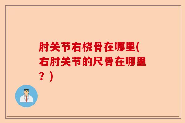 肘关节右桡骨在哪里(右肘关节的尺骨在哪里？)