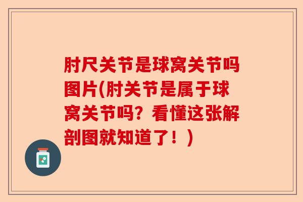 肘尺关节是球窝关节吗图片(肘关节是属于球窝关节吗？看懂这张解剖图就知道了！)