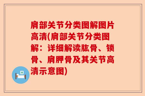 肩部关节分类图解图片高清(肩部关节分类图解：详细解读肱骨、锁骨、肩胛骨及其关节高清示意图)