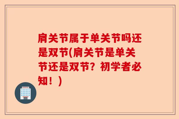 肩关节属于单关节吗还是双节(肩关节是单关节还是双节？初学者必知！)