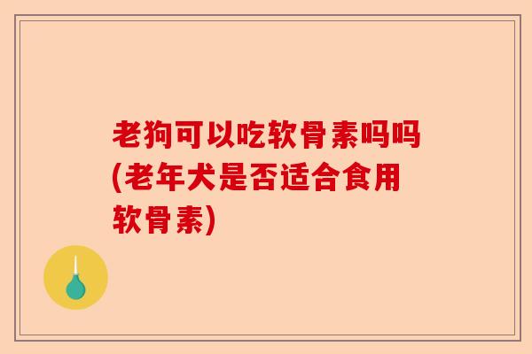 老狗可以吃软骨素吗吗(老年犬是否适合食用软骨素)
