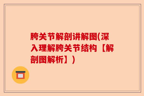 胯关节解剖讲解图(深入理解胯关节结构【解剖图解析】)