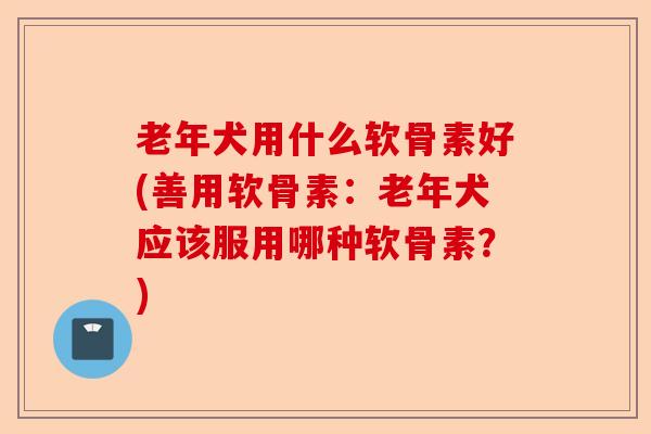 老年犬用什么软骨素好(善用软骨素：老年犬应该服用哪种软骨素？)