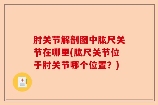 肘关节解剖图中肱尺关节在哪里(肱尺关节位于肘关节哪个位置？)