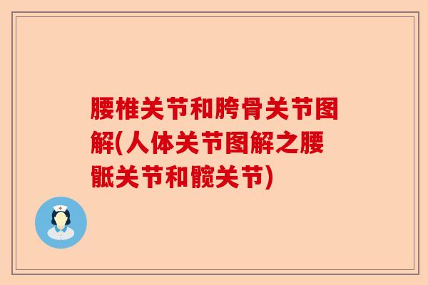 腰椎关节和胯骨关节图解(人体关节图解之腰骶关节和髋关节)