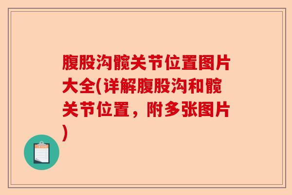 腹股沟髋关节位置图片大全(详解腹股沟和髋关节位置，附多张图片)