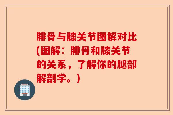 腓骨与膝关节图解对比(图解：腓骨和膝关节的关系，了解你的腿部解剖学。)