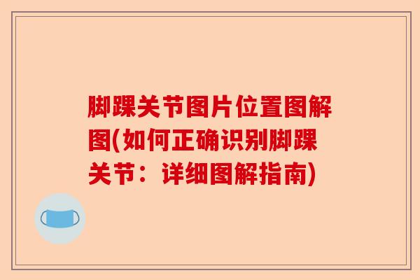 脚踝关节图片位置图解图(如何正确识别脚踝关节：详细图解指南)