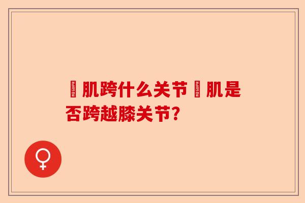 腘肌跨什么关节腘肌是否跨越膝关节？