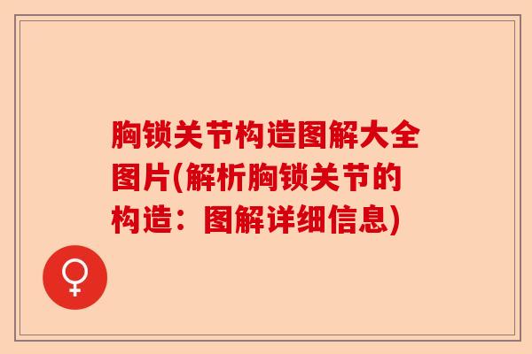 胸锁关节构造图解大全图片(解析胸锁关节的构造：图解详细信息)