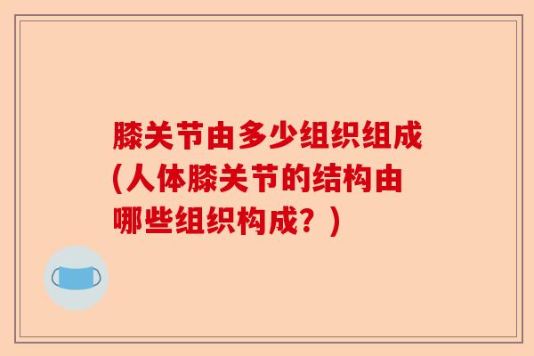 膝关节由多少组织组成(人体膝关节的结构由哪些组织构成？)