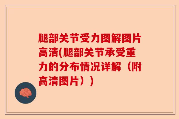 腿部关节受力图解图片高清(腿部关节承受重力的分布情况详解（附高清图片）)
