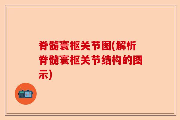 脊髓寰枢关节图(解析脊髓寰枢关节结构的图示)