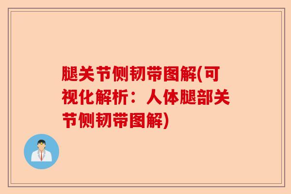 腿关节侧韧带图解(可视化解析:人体腿部关节侧韧带图解) 腿关节侧韧带图解(可视化解析:人体腿部关节侧韧带图解)