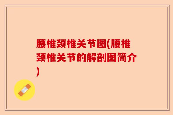 腰椎颈椎关节图(腰椎颈椎关节的解剖图简介)