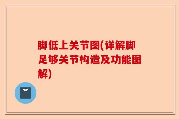 脚低上关节图(详解脚足够关节构造及功能图解)