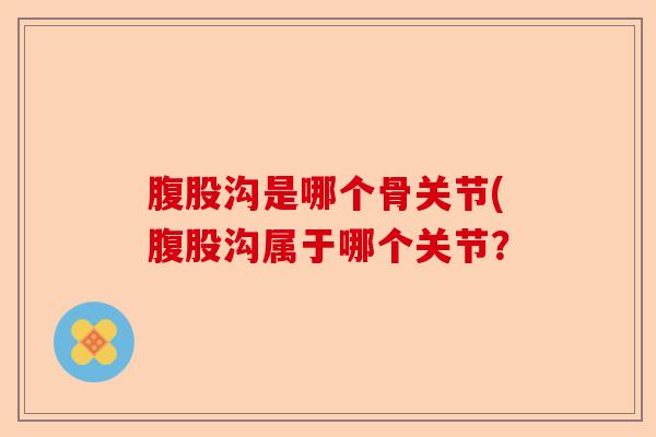 腹股沟是哪个骨关节(腹股沟属于哪个关节？
