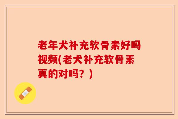 老年犬补充软骨素好吗视频(老犬补充软骨素真的对吗？)