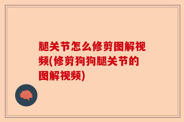 腿关节怎么修剪图解视频(修剪狗狗腿关节的图解视频) 腿关节怎么修剪图解视频(修剪狗狗腿关节的图解视频)