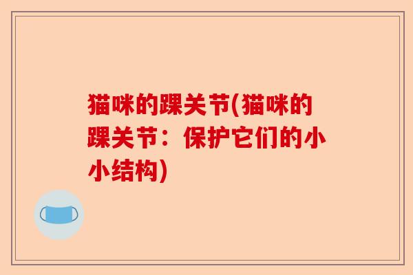猫咪的踝关节(猫咪的踝关节：保护它们的小小结构)