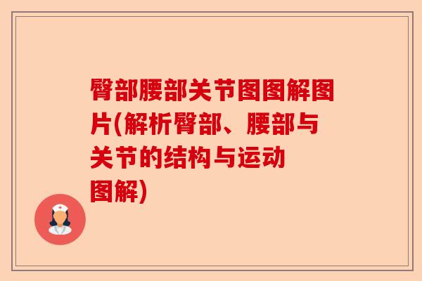 臀部腰部关节图图解图片(解析臀部、腰部与关节的结构与运动  图解)