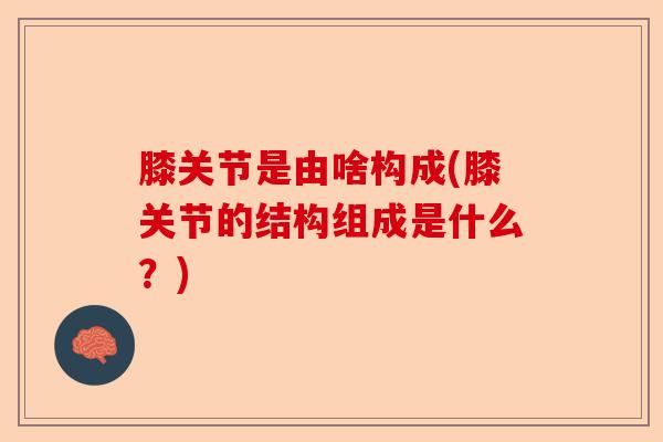 膝关节是由啥构成(膝关节的结构组成是什么？)
