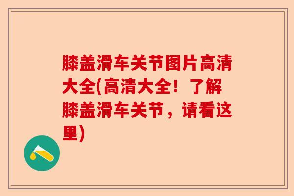 膝盖滑车关节图片高清大全(高清大全！了解膝盖滑车关节，请看这里)
