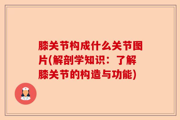 膝关节构成什么关节图片(解剖学知识：了解膝关节的构造与功能)