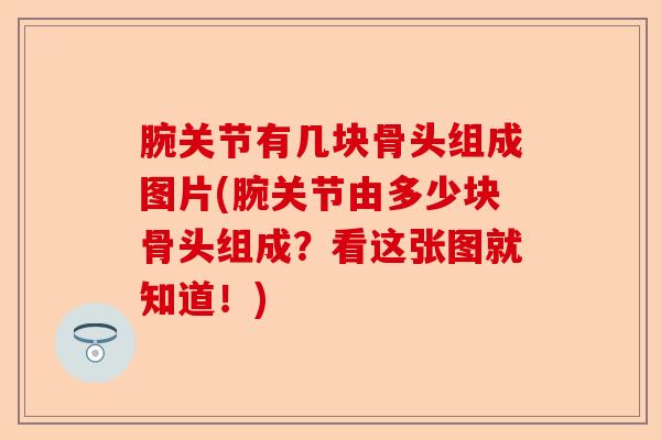 腕关节有几块骨头组成图片(腕关节由多少块骨头组成？看这张图就知道！)